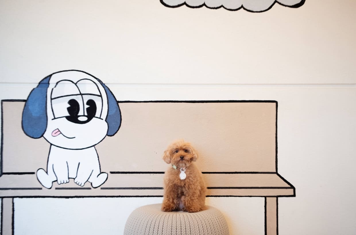 フォトスポット