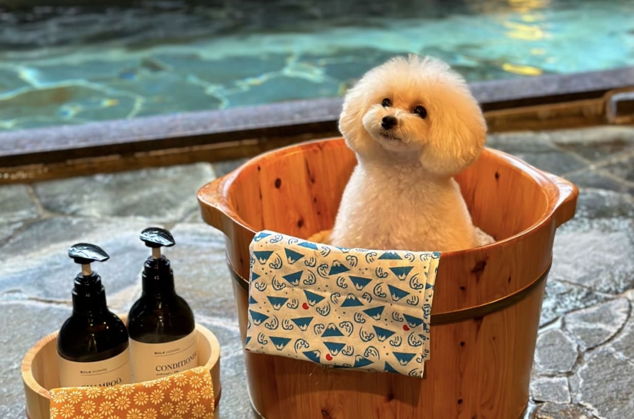 ワンちゃんと一緒に貸切温泉