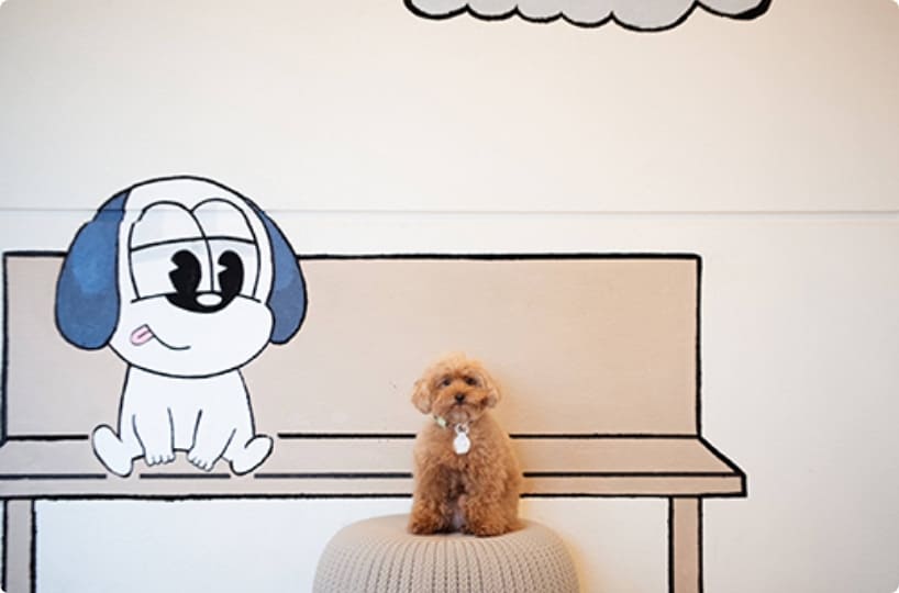 チャム君のウォールアート