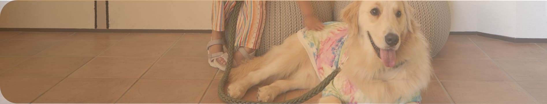 ワンちゃんへのおもてなしの背景画像